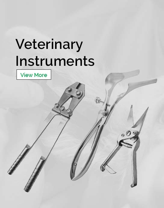 Veterinary Instruments